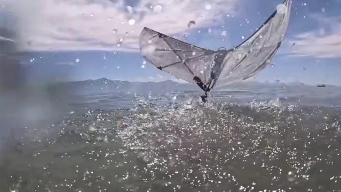 Drone MIT: Το νέο ρομπότ που βουτά σαν πουλί Drone MIT: Το νέο ρομπότ που βουτά σαν πουλί